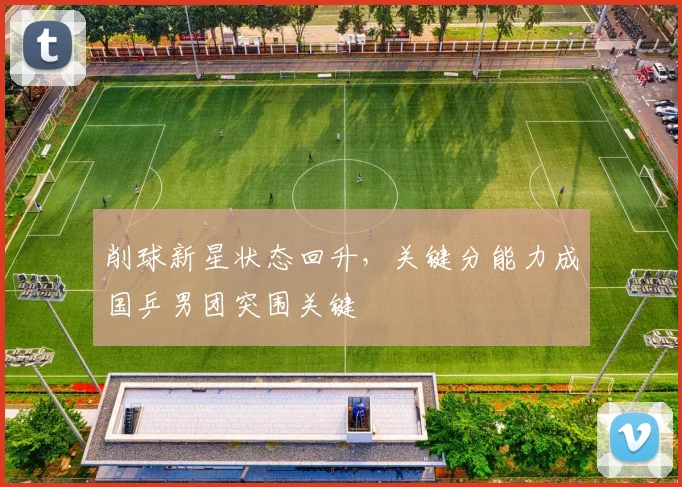 削球新星状态回升，关键分能力成国乒男团突围关键