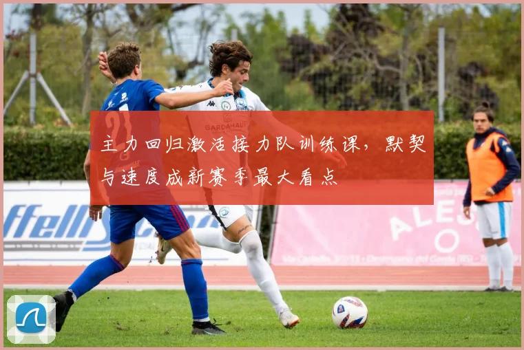 主力回归激活接力队训练课，默契与速度成新赛季最大看点